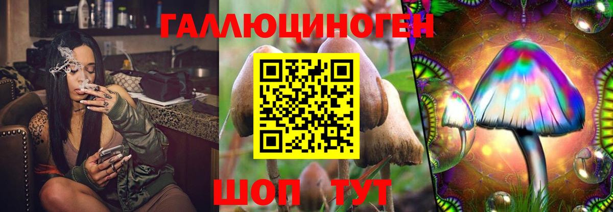 Псилоцибиновые грибы мицелий  Вход с VPN  Лесной 