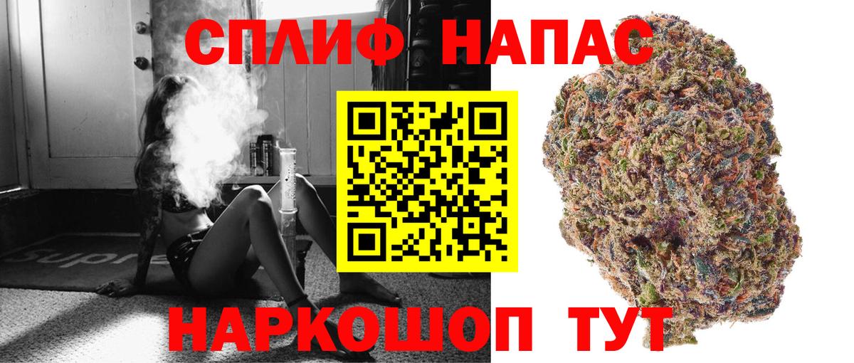 МАРИХУАНА сатива Лесной